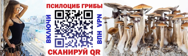 Псилоцибиновые грибы Cubensis  купить наркотик  Бирюч 